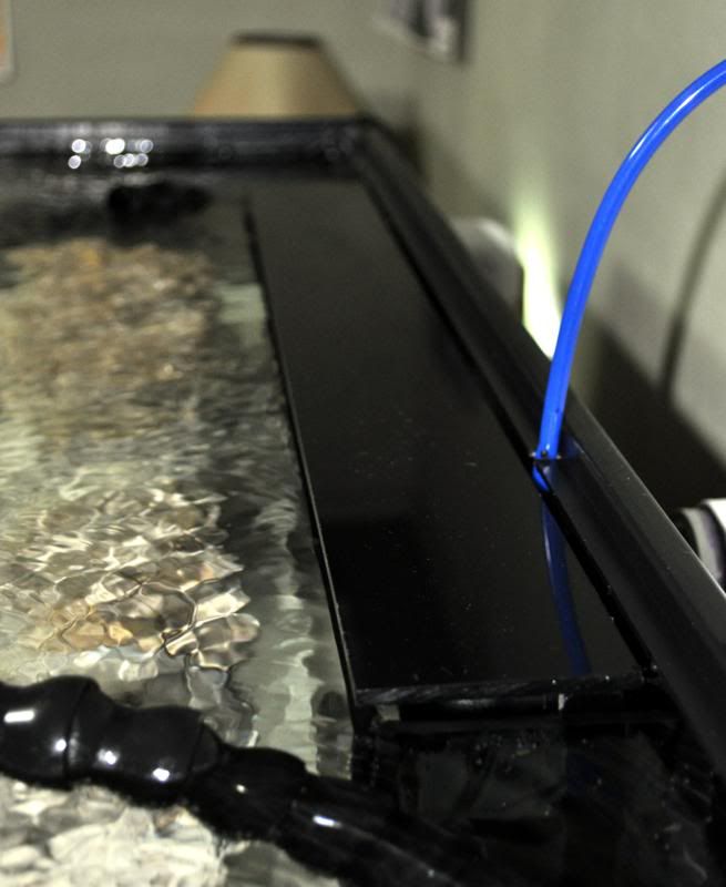 75g drilled bean animal tank Reef Central Online Community